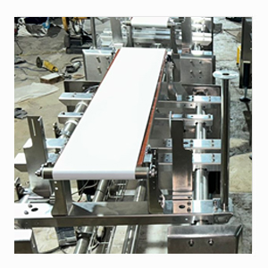 Conveyor Designing Services in Pune | Isoliments
