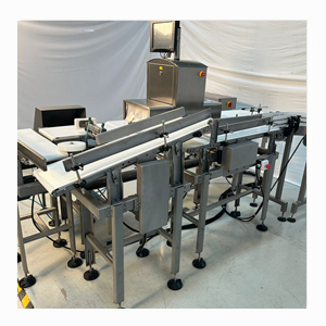 Conveyor System in Pimpri Chinchwad